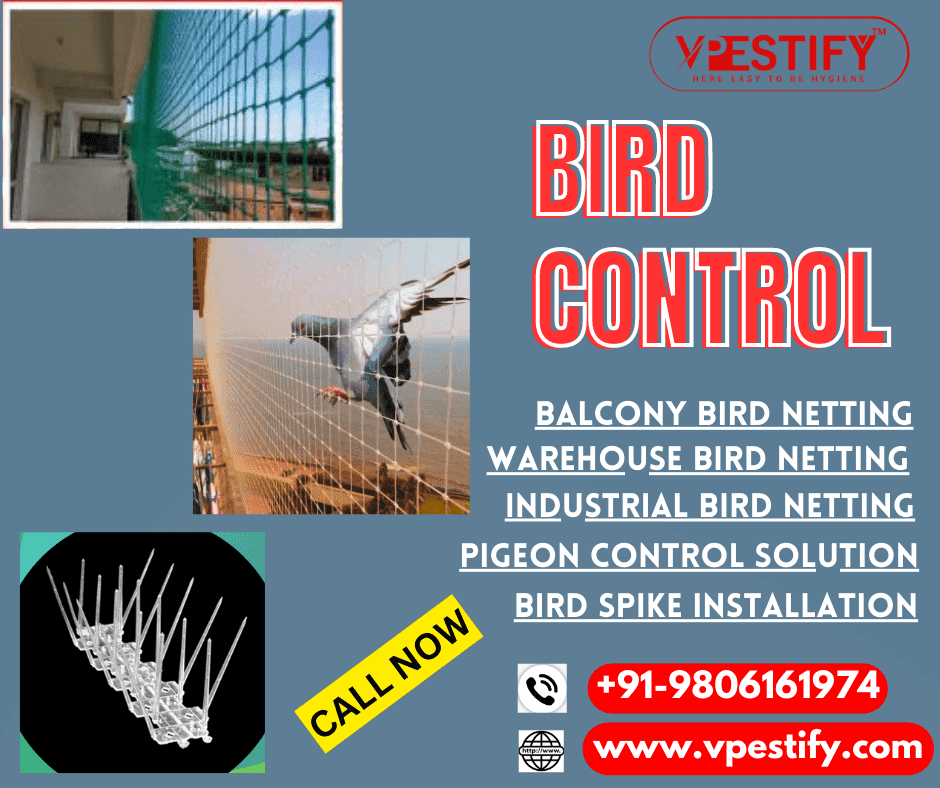 Bird Control Services in Delhi-NCR